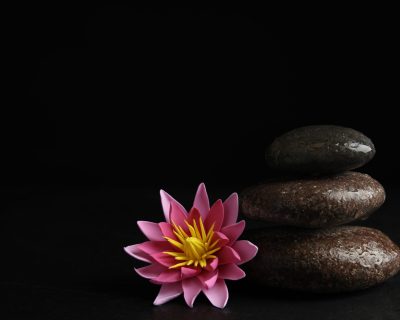 Stones and lotus flower on black background, space for text. Zen lifestyle